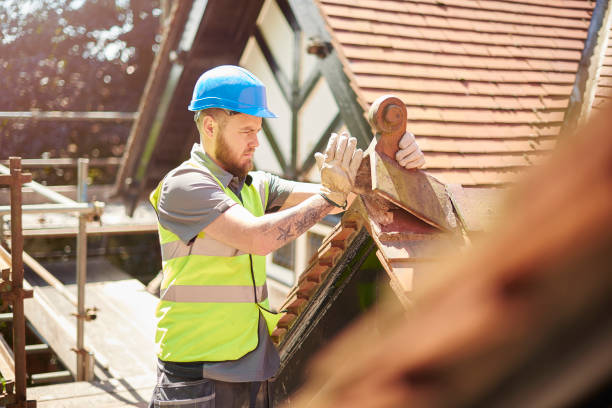 Best Roof Leak Repair  in Tiffin, IA